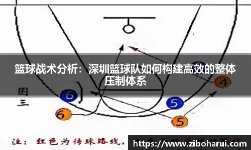 OB视讯官方网站