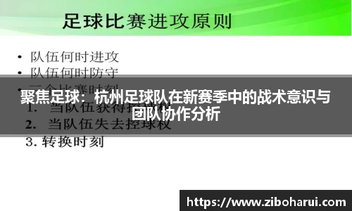 聚焦足球：杭州足球队在新赛季中的战术意识与团队协作分析
